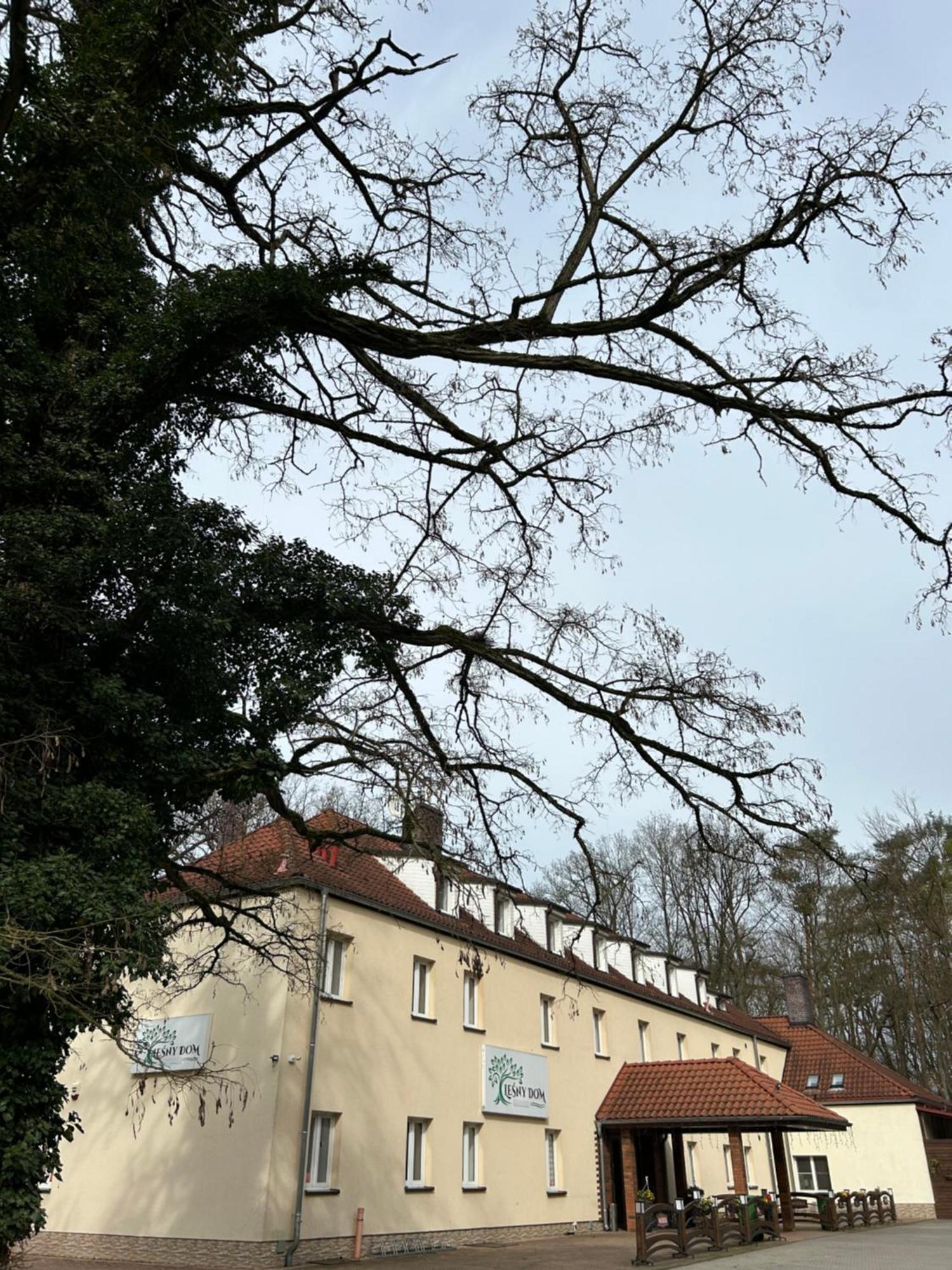 Lesny Dom Bed & Breakfast Barlinek Exterior photo